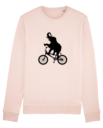 Circus Candy Pink