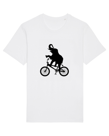 Circus White