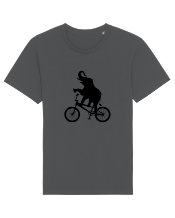 Circus Anthracite