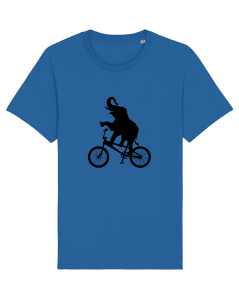 Circus Royal Blue