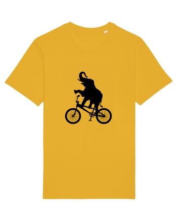 Circus Spectra Yellow