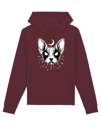 Pisică Sfinx Burgundy