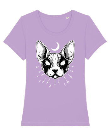 Pisică Sfinx Lavender Dawn