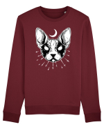 Pisică Sfinx Bluză mânecă lungă Unisex Rise