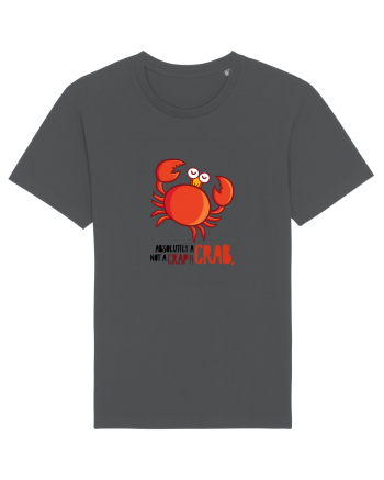 Absolutely A Crab, Not A Crap! Anthracite