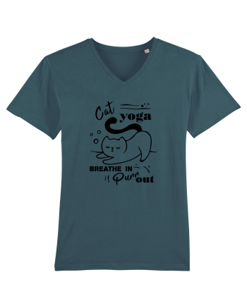 Cat Yoga Stargazer