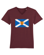 Scotland Tricou mânecă scurtă guler V Bărbat Presenter