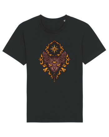 Pisică Egipt Black