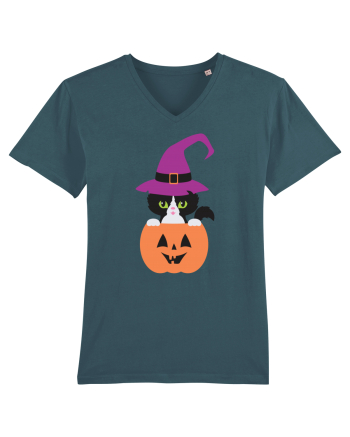 Pisica Neagra Halloween 1 Stargazer