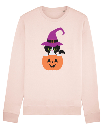Pisica Neagra Halloween 1 Candy Pink
