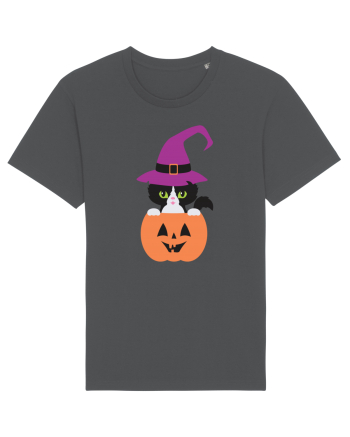 Pisica Neagra Halloween 1 Anthracite