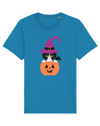 Pisica Neagra Halloween 1 Azur