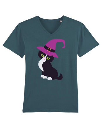 Pisica Neagra Halloween 2 Stargazer