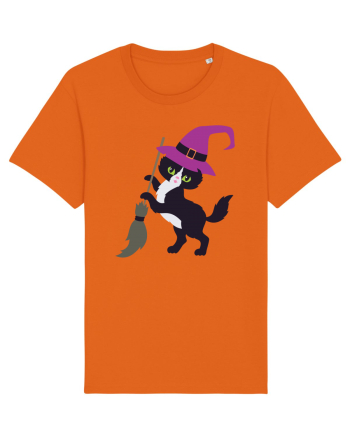 Pisica Neagra Halloween 4 Bright Orange