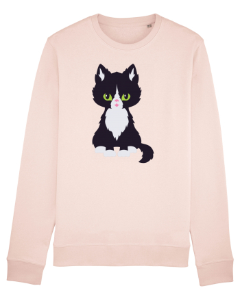 Pisica Neagra Halloween 5 Candy Pink