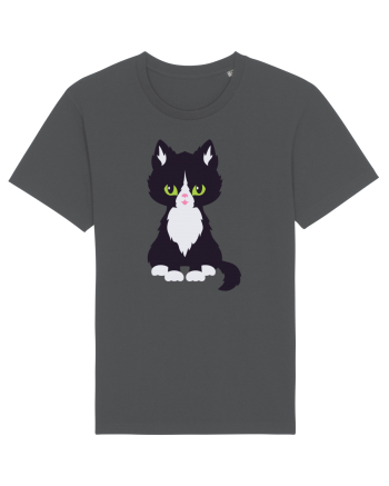 Pisica Neagra Halloween 5 Anthracite