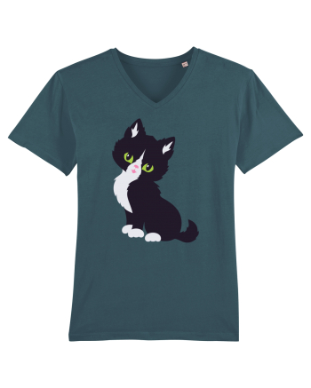 Pisica Neagra Halloween 7 Stargazer