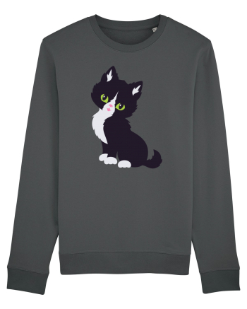 Pisica Neagra Halloween 7 Anthracite