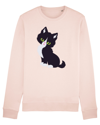 Pisica Neagra Halloween 7 Candy Pink