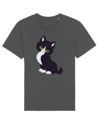Pisica Neagra Halloween 7 Anthracite