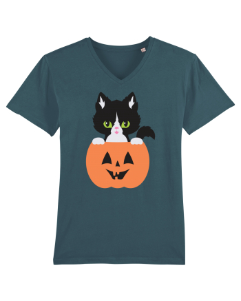 Pisica Neagra Halloween 8 Stargazer