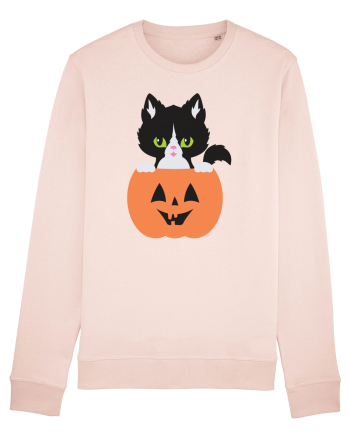 Pisica Neagra Halloween 8 Candy Pink