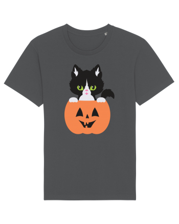 Pisica Neagra Halloween 8 Anthracite