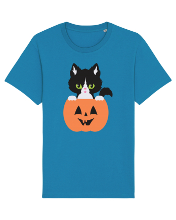 Pisica Neagra Halloween 8 Azur