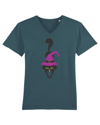 Pisica Neagra Halloween 9 Stargazer