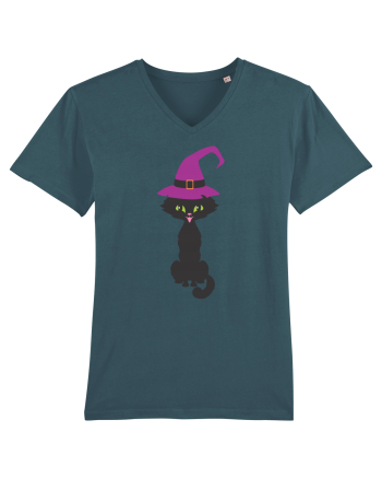Pisica Neagra Halloween 10 Stargazer