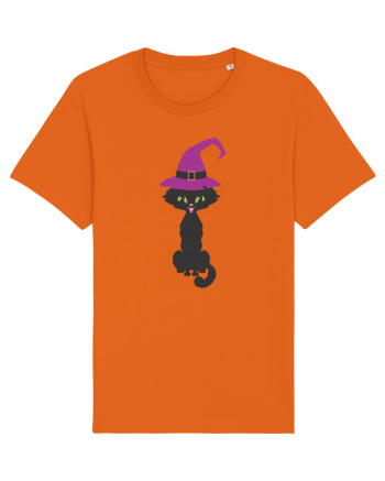Pisica Neagra Halloween 10 Bright Orange