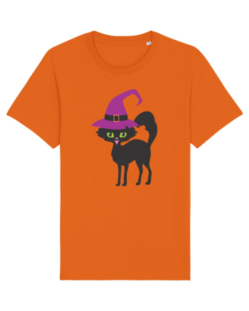 Pisica Neagra Halloween 11 Bright Orange