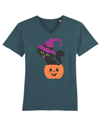 Pisica Neagra Halloween 12 Stargazer