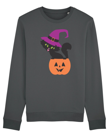 Pisica Neagra Halloween 12 Anthracite