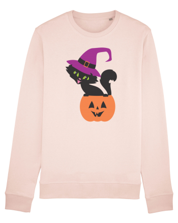Pisica Neagra Halloween 12 Candy Pink