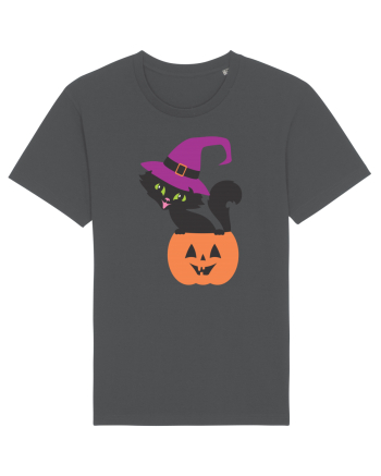 Pisica Neagra Halloween 12 Anthracite