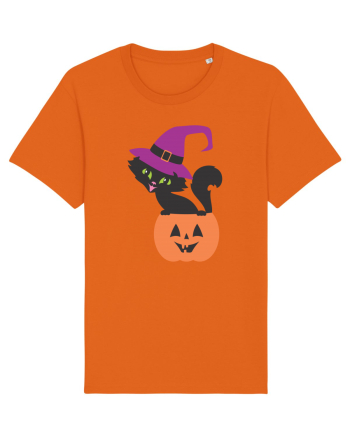 Pisica Neagra Halloween 12 Bright Orange