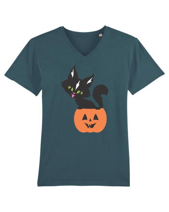 Pisica Neagra Halloween 13 Stargazer