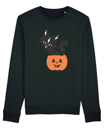 Pisica Neagra Halloween 13 Black