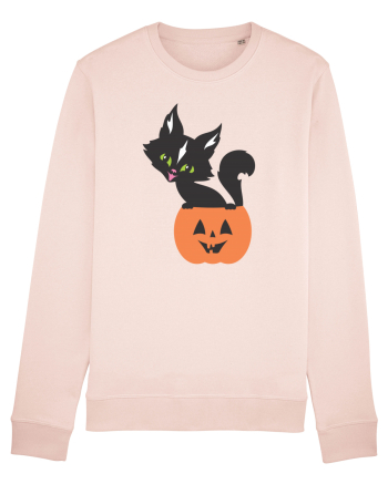 Pisica Neagra Halloween 13 Candy Pink