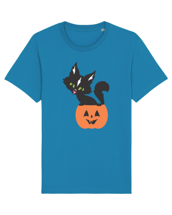 Pisica Neagra Halloween 13 Azur