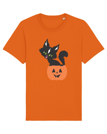 Pisica Neagra Halloween 13 Bright Orange