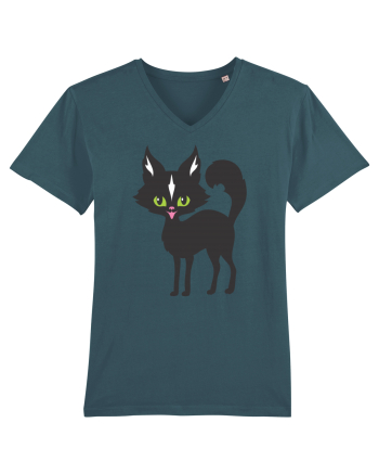 Pisica Neagra Halloween 14 Stargazer