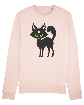 Pisica Neagra Halloween 14 Candy Pink