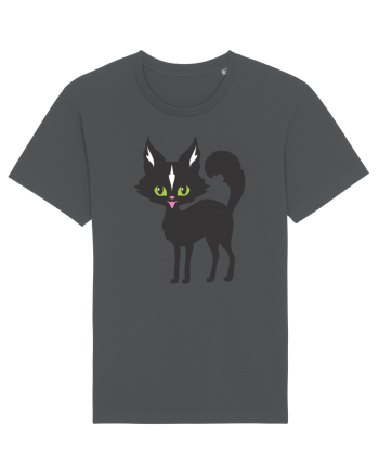 Pisica Neagra Halloween 14 Anthracite