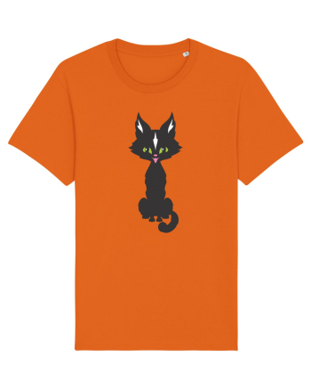 Pisica Neagra Halloween 15 Bright Orange