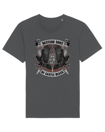 Castle Black Anthracite