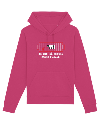 Puzzle funny Raspberry