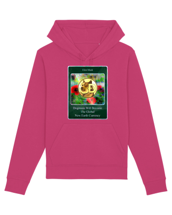 dogecoin Raspberry
