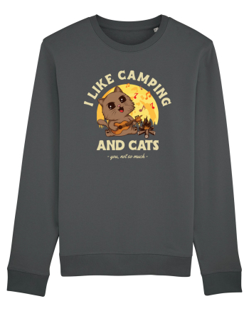I like camping and cats Anthracite